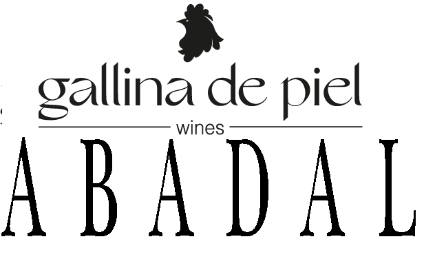 Presentació del nou projecte  de la família Roqueta (Abadal) i David Seijas (Gallina de Piel Wines) 