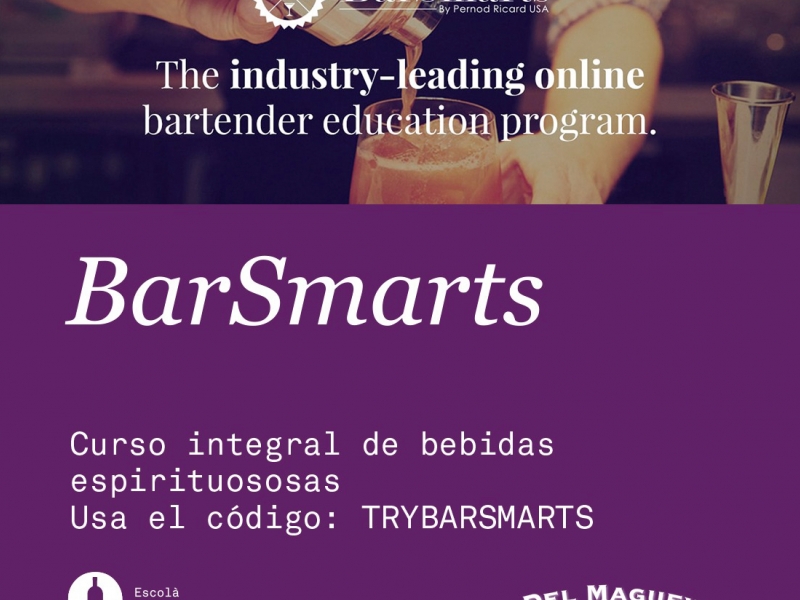 Curs Bars Smarts (3)